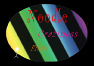 Noodle Craziness Designs